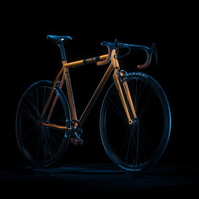 Custom project of bicycle based on FIXIE INC frame se