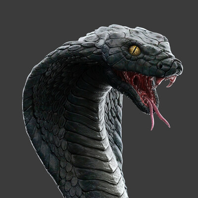 snake
