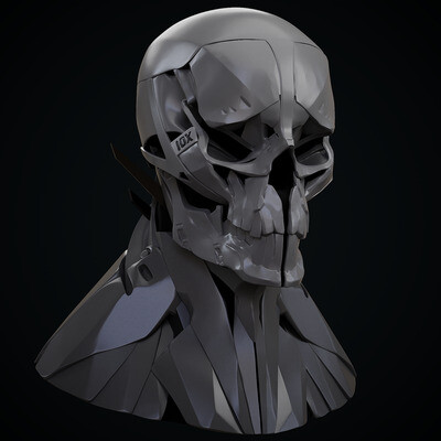 Cyber Skull