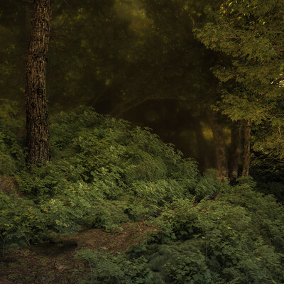 Forest