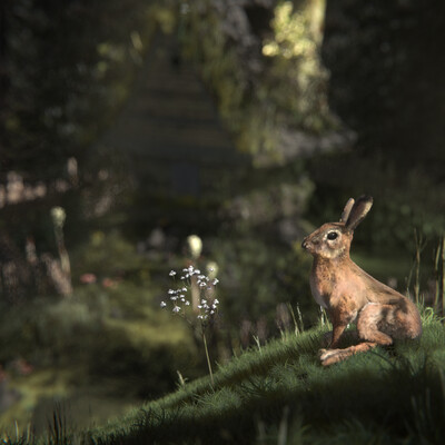 The magical forest