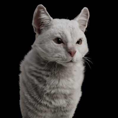 WIP / Cat fur in Houdini