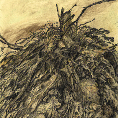 Pile of withered wood things