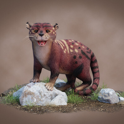 Animal