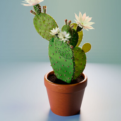 Blooming Opuntia