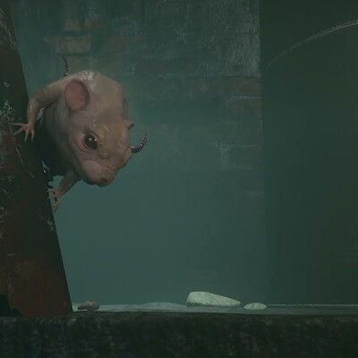 Rat