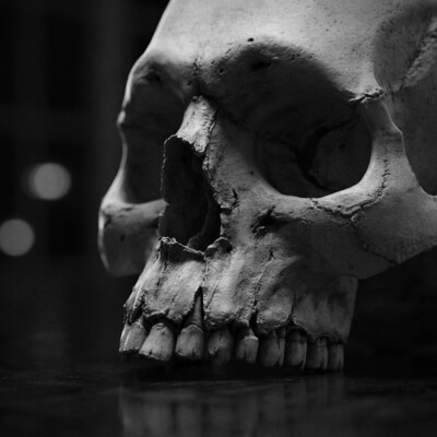 Skull