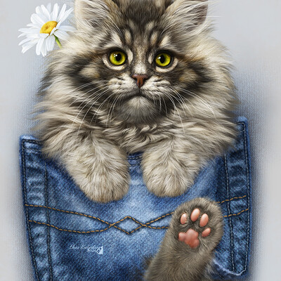 kitten