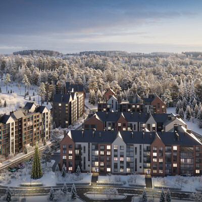 Winter view