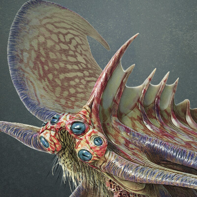 Aetherodon Etherealis