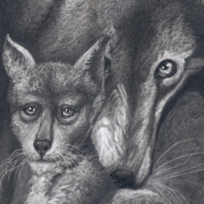Spider Wolf and Morel Wolf