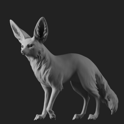 Fennec fox