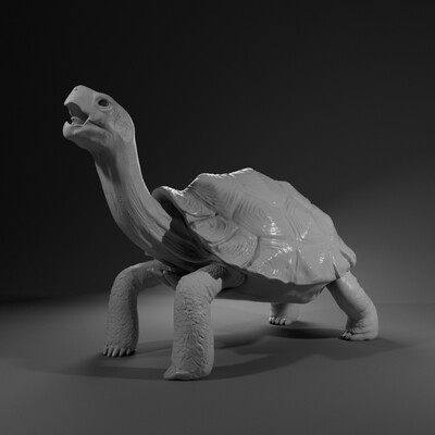 Turtle