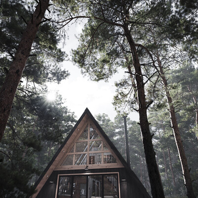 House in the forest...