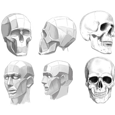 sketches