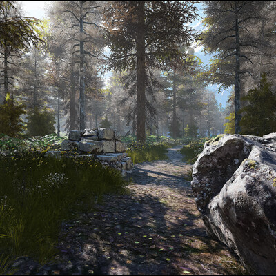 Forest on the mountainside