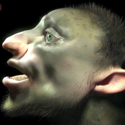 Orge head