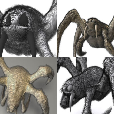 spider