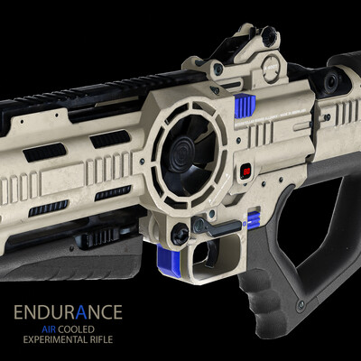 Endurance AR - revision 6