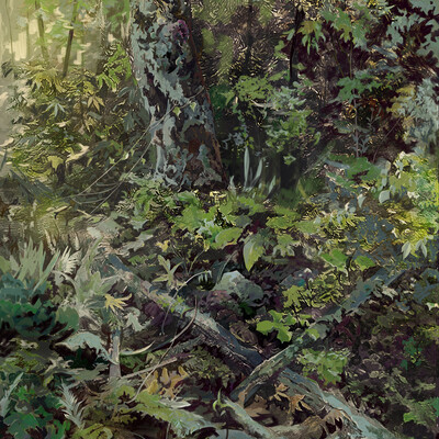 In forest