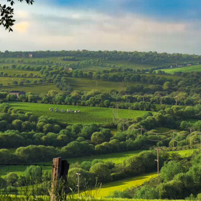 Landscape in England style