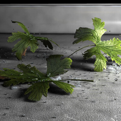 Zapah limona