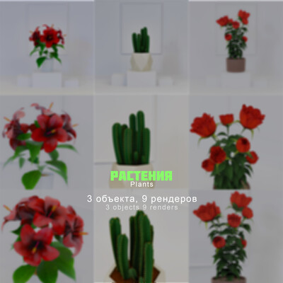 House plants