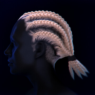 The Braids Houdini