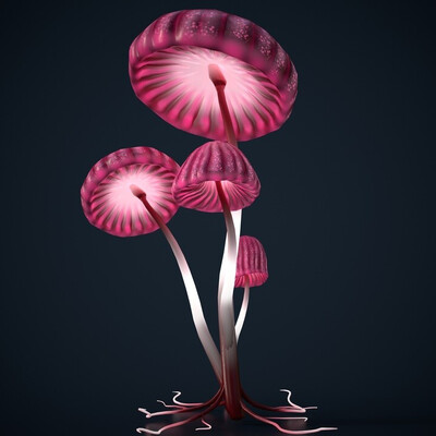mushrooms_pink_brown