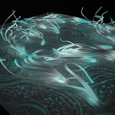mycelium