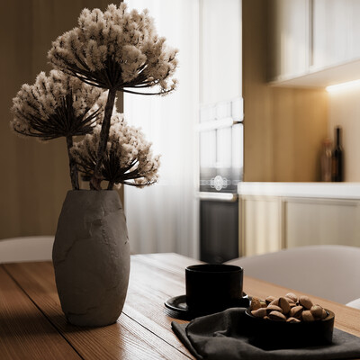 Minimalist apartment