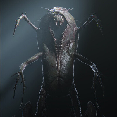 Some Bug