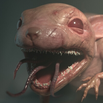 rat