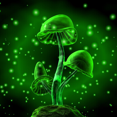 LSD Gribyi