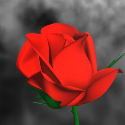 Roza