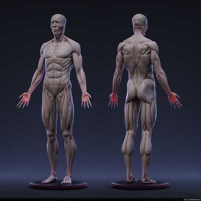 Anatomy. Anatoly Kondratiev.