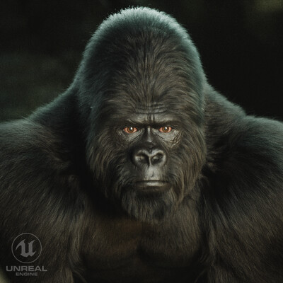 Gorilla / UE5 / Houdini