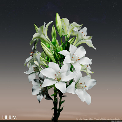flowers and plants