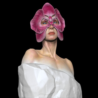 Orchid