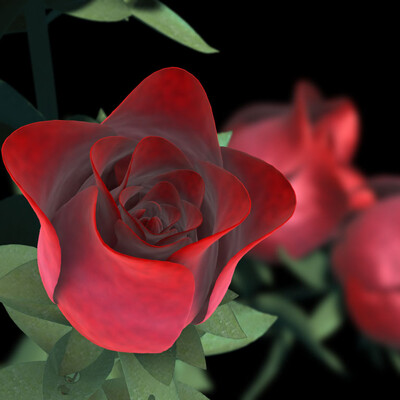 Roza