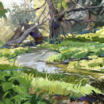A stream in the forest