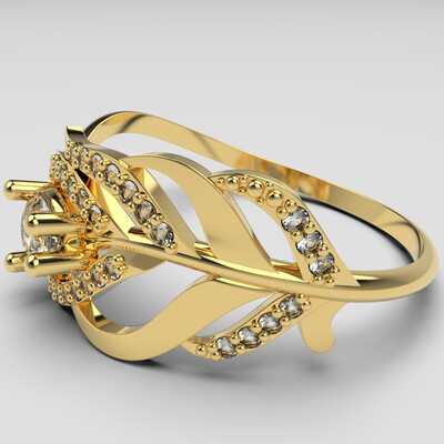 Ring #1