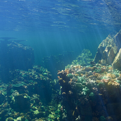 Lagoon