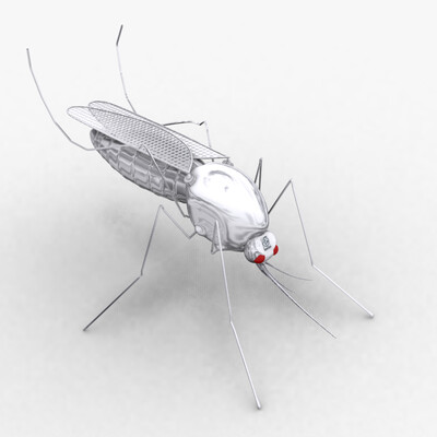 mosquito