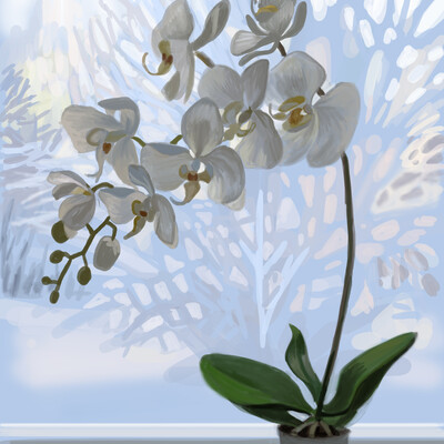 on the winter window