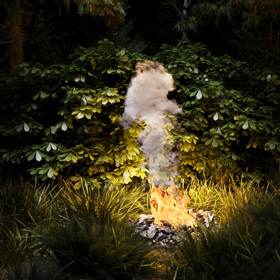 forest fire