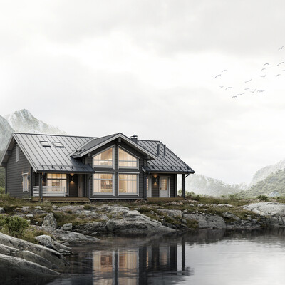 Mountains house