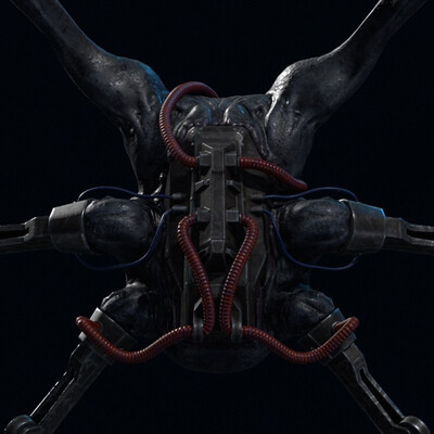 SPIDERR