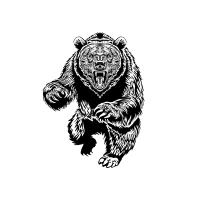 The connecting rod bear