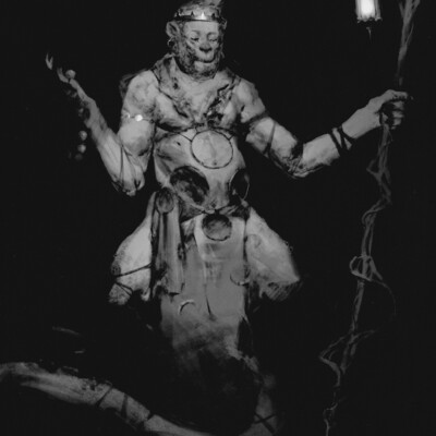 Monkey KING